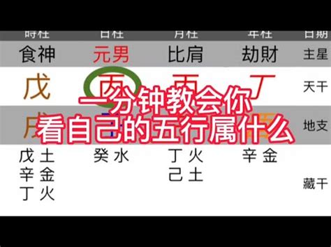 算命屬性|免費生辰八字五行屬性查詢、算命、分析命盤喜用神、喜忌